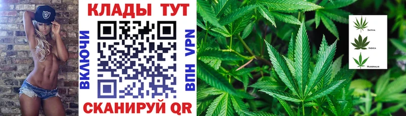 Какие есть наркотики Медвежьегорск Гашиш Кокаин Мефедрон Alpha PVP Псилоцибиновые грибы Марихуана