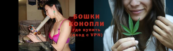PSILOCYBIN Белокуриха
