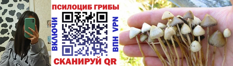 Галлюциногенные грибы прущие грибы  Медвежьегорск 